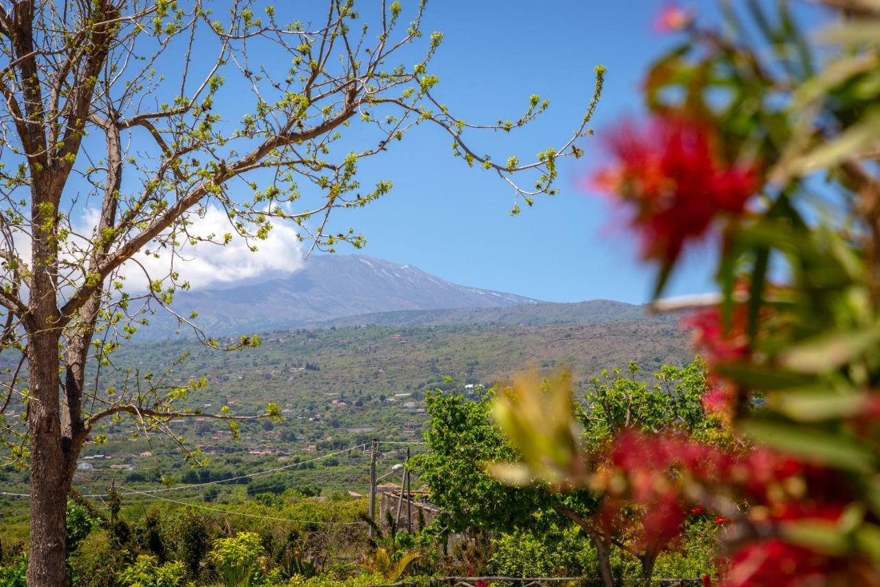 Il Giardino Country Holiday With Pool Ταορμίνα Εξωτερικό φωτογραφία